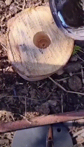 喜欢黑丝的宅男有福了